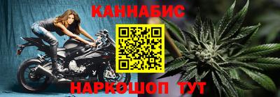 сатива Кингисепп