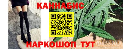 сатива Кингисепп