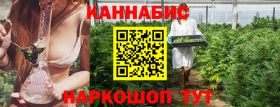 сатива Кингисепп